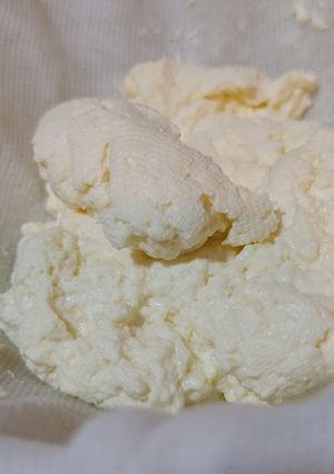 Домашня рікота (з молока)