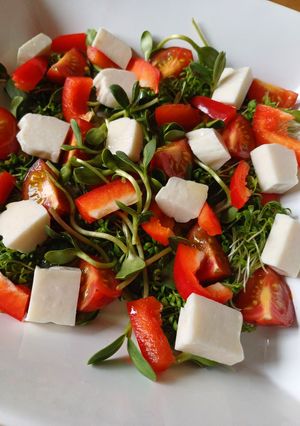 Весняний салат з халумі та проростками