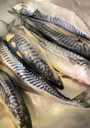 Салат зі скумбрією на зиму