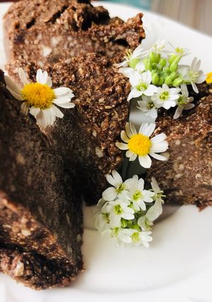 Живой брауни