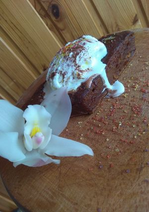 Шоколадный брауни из тыквы