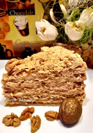 Наполеон по-новому