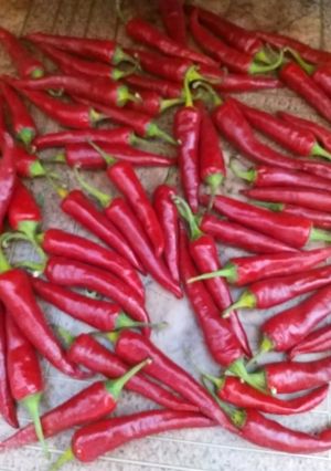 Аджика "Огненный дракон"