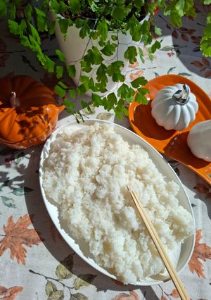 Рис для суші