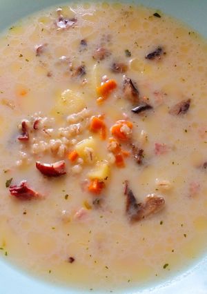Суп з білими грибами"Зупа Гут"