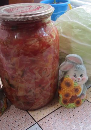 Капустная заготовка для борща