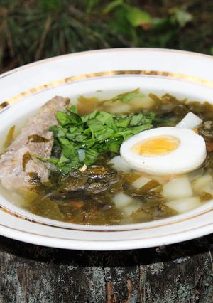 Зелёный борщ. Самый правильный рецепт