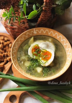 Зелёный борщ с щавелем и яйцом