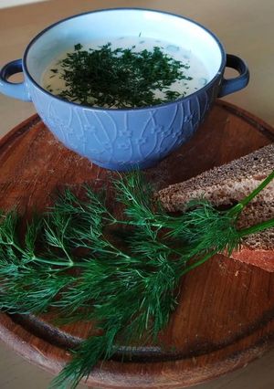 Окрошка дієтична