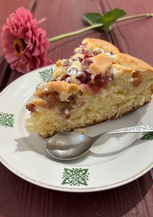 Пиріг на кефірі з виноградом