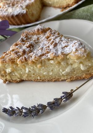 Тертий пиріг з сиром