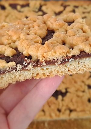 Тертий пиріг з яблуками і какао