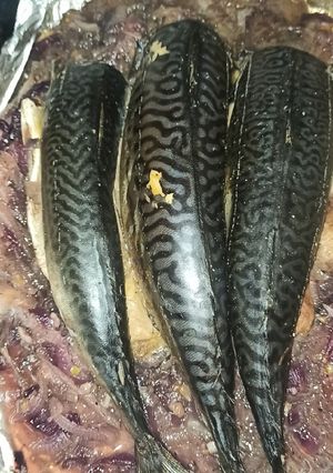 Запечена скумбрія з цибулею