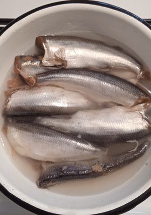 Малосолона салака мокрим посолом