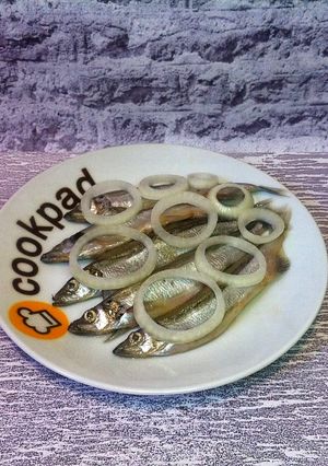 Малосольная мойва