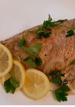 Морський окунь