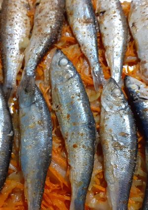 Салака, запеченная в духовке на овощной подушке