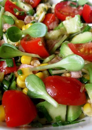 Салат з авокадо, тунцем та мікрозеленню