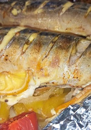 Скумбрія в сметані