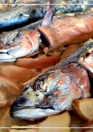 Скумбрія в сметанно-гірчичному соусі з яблуками,запечена в духовці