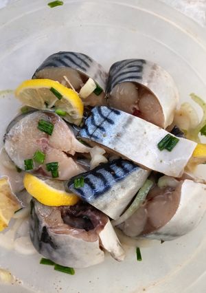 Слабосолона скумбрія за 2 години