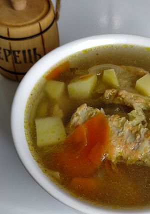 Уха по-домашньому з хребта червоної риби