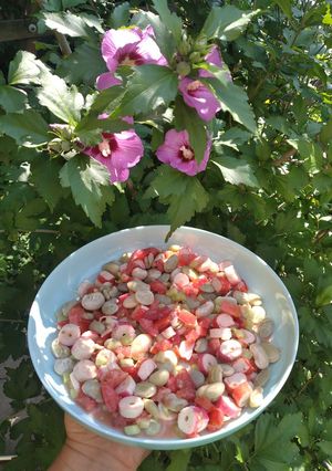 Салат з молодою квасолею і соусом на аквафарбі