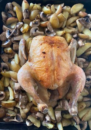 Запечена курка з картоплею і грибами