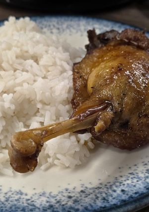 Качина ніжка в мультиварці-скороварці