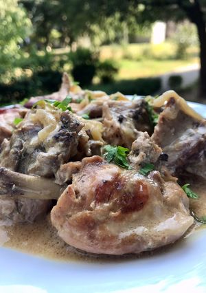 Кролик, тушкований в сметані