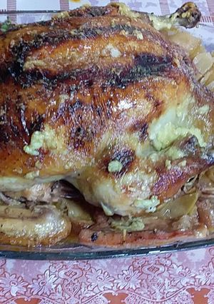 Курка у рукаві