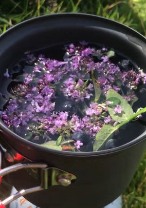 Гірський чай з чебрецю та чорниці