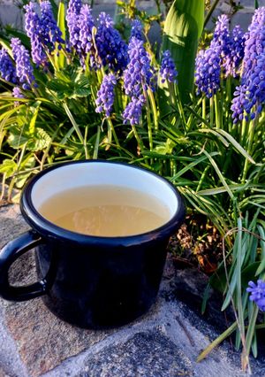 Квас з березового соку