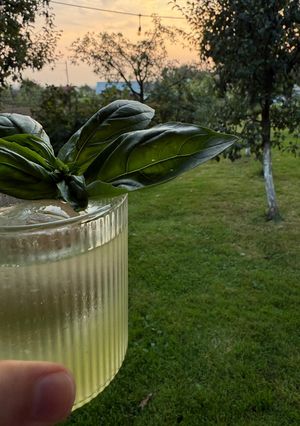 Коктейль “Gin basil smash”