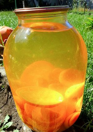 Компот Фанта