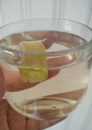 Компот з ревеню