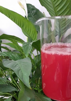 Компот зі смородини, кізілу та ревеню