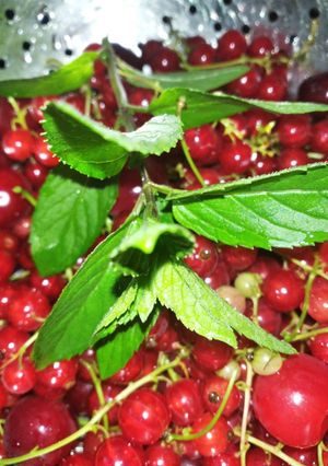 Літній компот з порічки, ревеню і м'яти