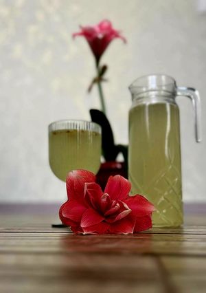 Напій з квітів бузини (освіжаючий лимонад)