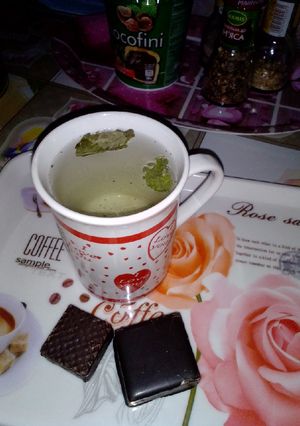 Чай з домашньої меліси