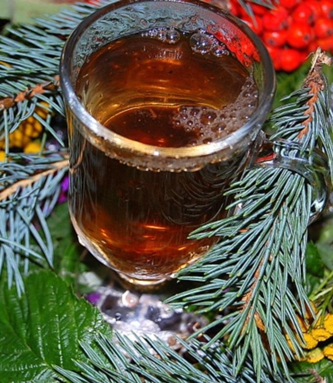 Чай "хвойний"